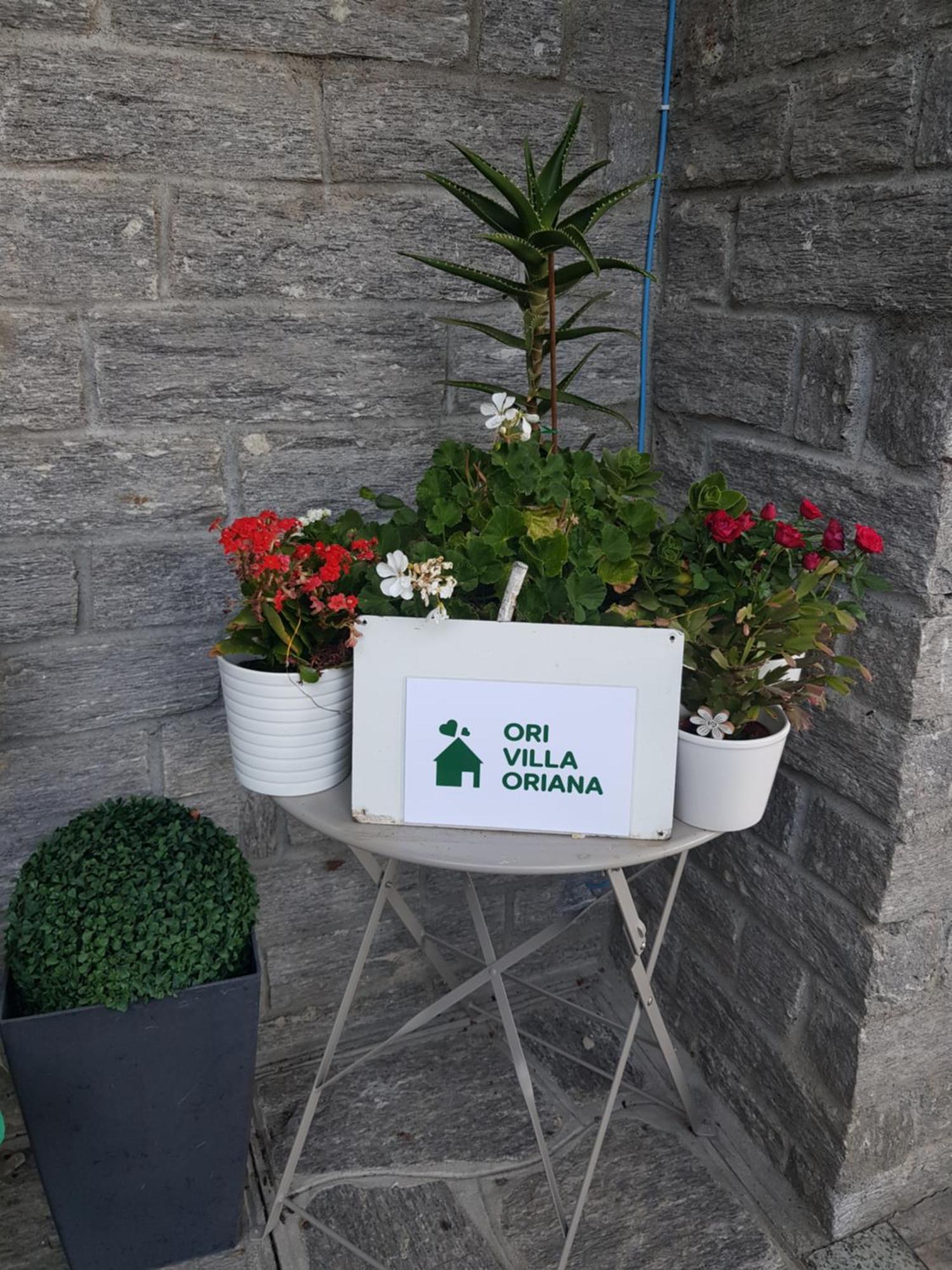 Ori Villa Oriana Baveno Exteriör bild